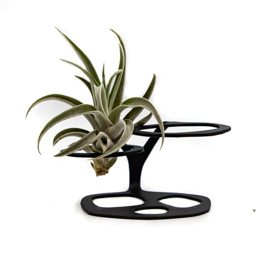 Home * | Double Airlift Plant Stand For Air Plants By Incidental Design Home Essentials