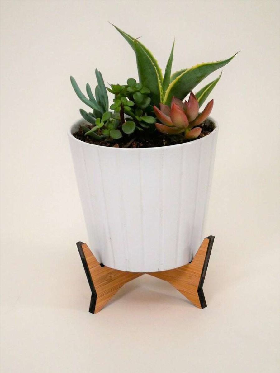 Gifts * | 4 Bamboo Grandstand Plant Stand By Incidental Design